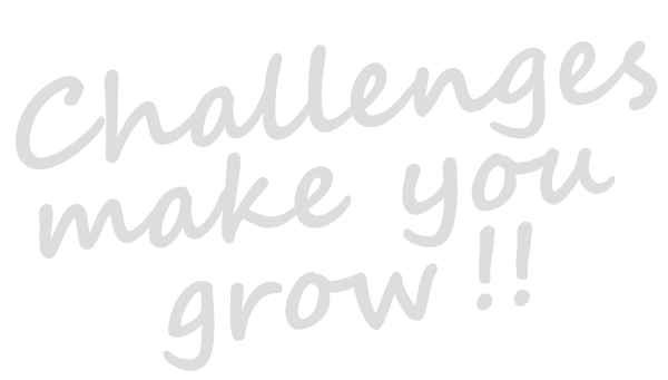 株式会社八城工業